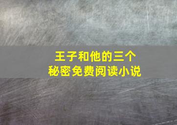 王子和他的三个秘密免费阅读小说