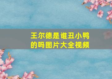 王尔德是谁丑小鸭的吗图片大全视频