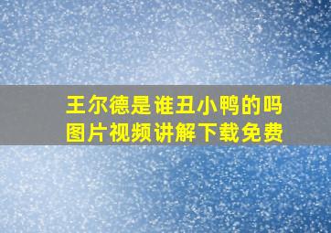 王尔德是谁丑小鸭的吗图片视频讲解下载免费