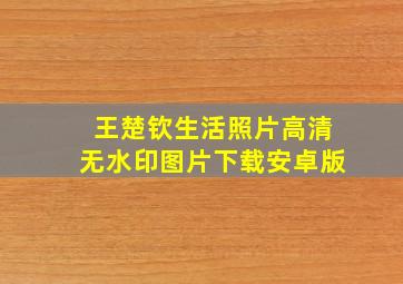 王楚钦生活照片高清无水印图片下载安卓版