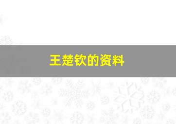 王楚钦的资料