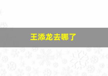 王添龙去哪了