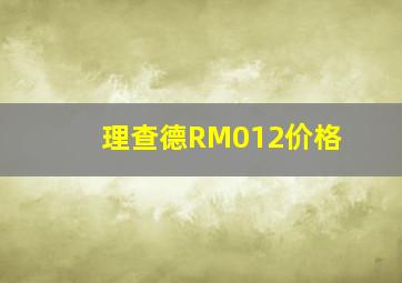 理查德RM012价格