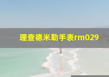 理查德米勒手表rm029