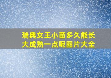 瑞典女王小苗多久能长大成熟一点呢图片大全