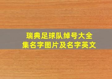 瑞典足球队绰号大全集名字图片及名字英文