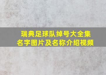 瑞典足球队绰号大全集名字图片及名称介绍视频