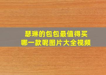 瑟琳的包包最值得买哪一款呢图片大全视频