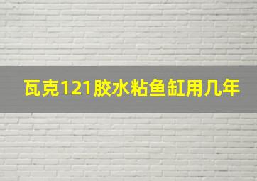 瓦克121胶水粘鱼缸用几年