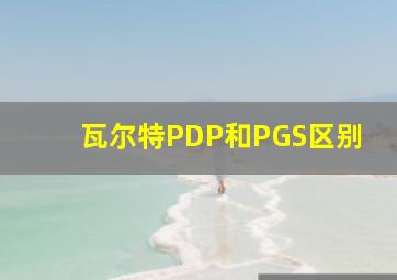 瓦尔特PDP和PGS区别