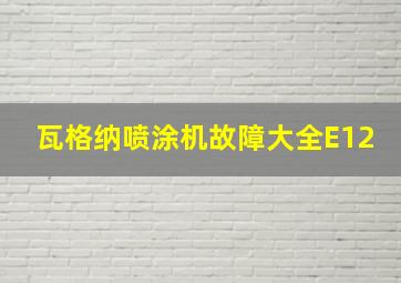 瓦格纳喷涂机故障大全E12