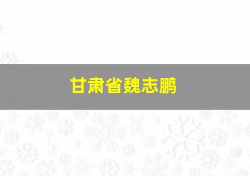 甘肃省魏志鹏