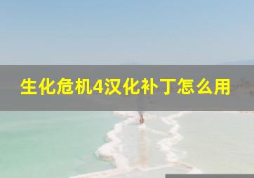 生化危机4汉化补丁怎么用