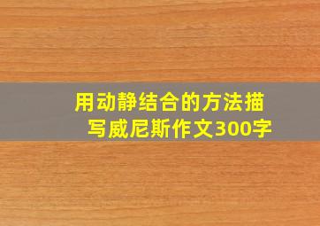 用动静结合的方法描写威尼斯作文300字