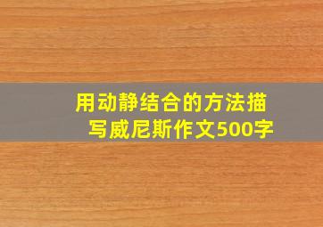 用动静结合的方法描写威尼斯作文500字