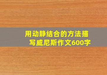 用动静结合的方法描写威尼斯作文600字