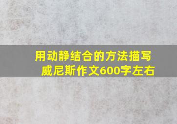 用动静结合的方法描写威尼斯作文600字左右