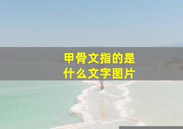 甲骨文指的是什么文字图片