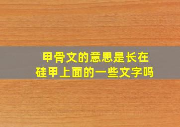 甲骨文的意思是长在硅甲上面的一些文字吗