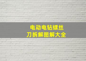 电动电钻螺丝刀拆解图解大全