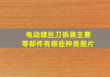 电动螺丝刀拆装主要零部件有哪些种类图片