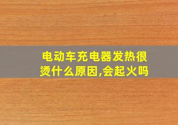 电动车充电器发热很烫什么原因,会起火吗