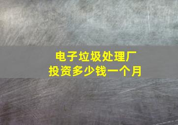 电子垃圾处理厂投资多少钱一个月