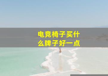 电竞椅子买什么牌子好一点