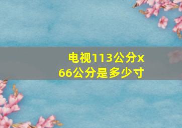 电视113公分x66公分是多少寸