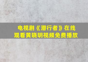 电视剧《潜行者》在线观看黄晓明视频免费播放