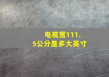 电视宽111.5公分是多大英寸