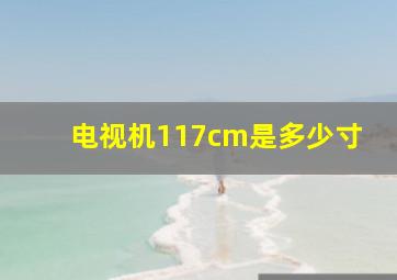 电视机117cm是多少寸