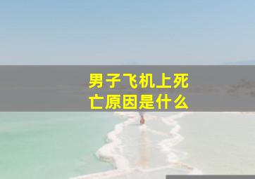 男子飞机上死亡原因是什么