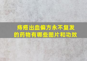 痔疮出血偏方永不复发的药物有哪些图片和功效