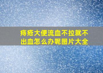 痔疮大便流血不拉就不出血怎么办呢图片大全