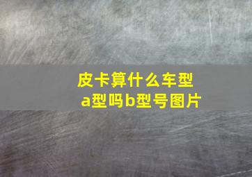 皮卡算什么车型a型吗b型号图片