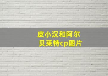 皮小汉和阿尔贝莱特cp图片