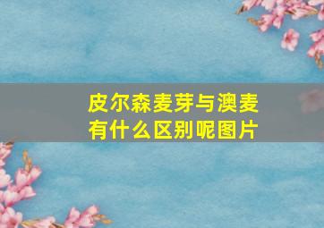 皮尔森麦芽与澳麦有什么区别呢图片