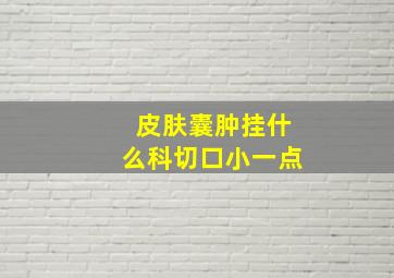 皮肤囊肿挂什么科切口小一点