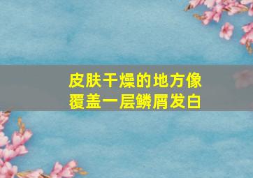 皮肤干燥的地方像覆盖一层鳞屑发白