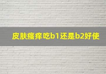 皮肤瘙痒吃b1还是b2好使