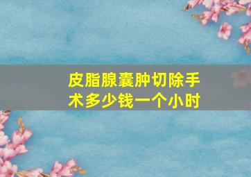 皮脂腺囊肿切除手术多少钱一个小时