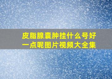 皮脂腺囊肿挂什么号好一点呢图片视频大全集