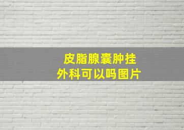 皮脂腺囊肿挂外科可以吗图片