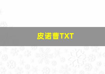 皮诺曹TXT