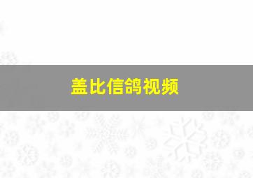 盖比信鸽视频