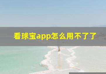 看球宝app怎么用不了了