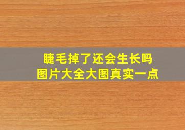 睫毛掉了还会生长吗图片大全大图真实一点