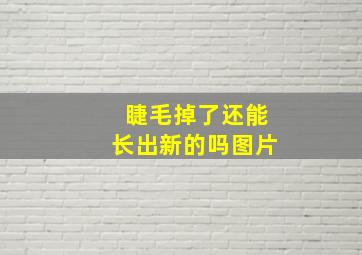 睫毛掉了还能长出新的吗图片