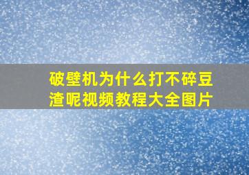 破壁机为什么打不碎豆渣呢视频教程大全图片